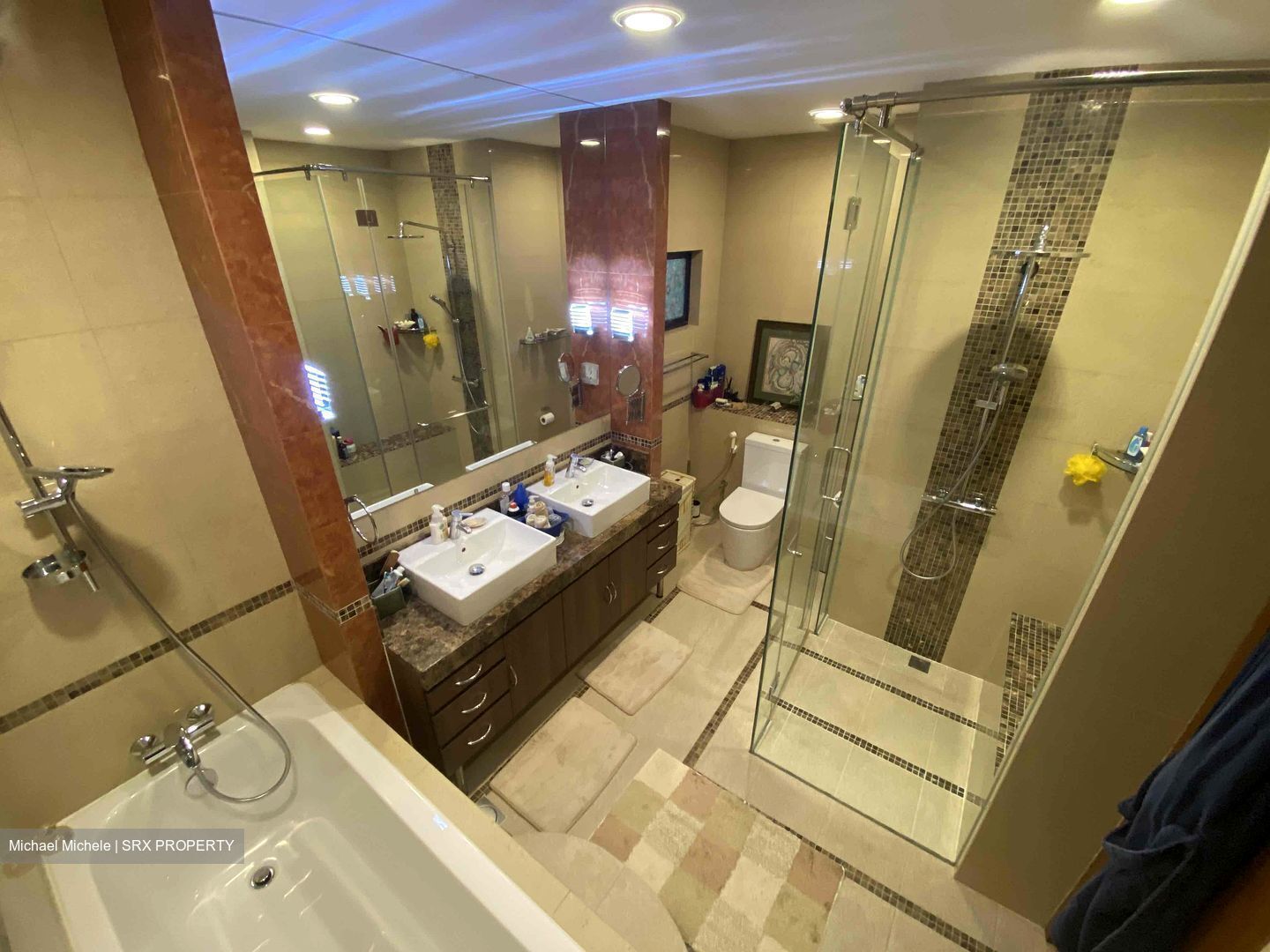 The Arcadia (D11), Condominium #424497031
